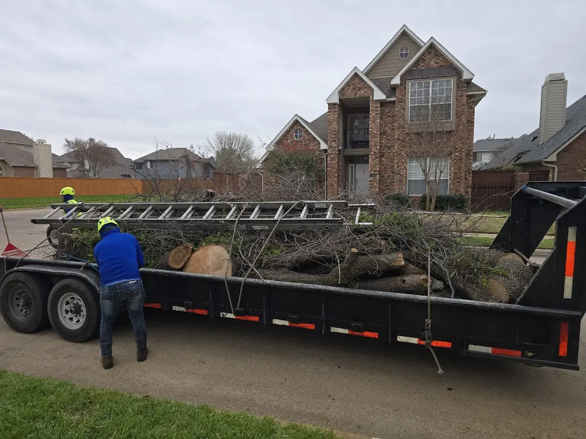 Expert Tree Removal with proper safety equipment in White Heath